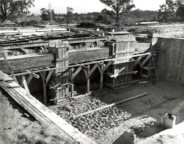 Photograph, N.l. Harvey & Son, Mount Helen Campus, 1968, 1969