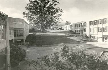 Photograph - Black and White, Mount Helen Campus, 1979