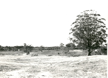 Photograph - Photograph - Black and White, Mount Helen Campus under Construction, 1971, 16/04/1971