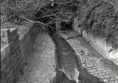 Photograph - Photograph - Black and White, Paul Lambeth, Beneath Scott Parade, Ballarat