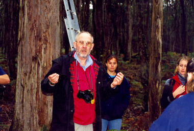 Photograph - Colour, Pat Prevett, c1990s