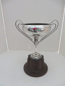 trophy