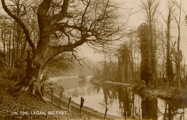 Postcard - Sepia, E.A. Schwerdtleger & Co, On the Lagan, Belfast