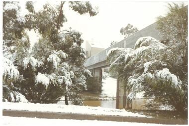Photograph - Colour, Snow at Ballarat College of Advanced Education