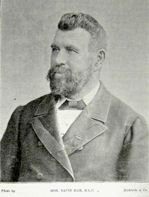 Image, Richards & Co, David Ham, c1895, c1895