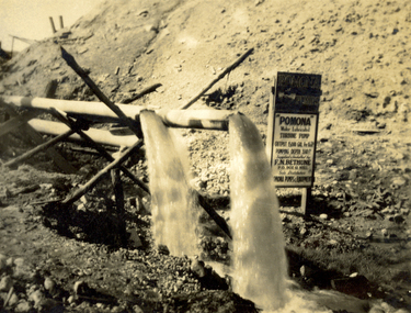 Photograph - Black and White, James Brown, Pomona Pumps