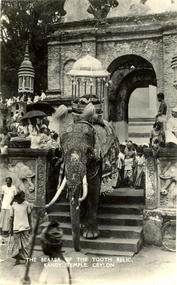 Postcard - photographic, The Bearer of the Tooth Relic. Kandy Temple, Ceylon