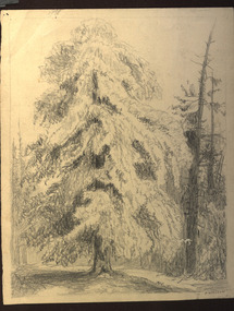 Drawing - Artwork -Drawing, Alice Watson, Lettering Exercises by Alice Watson, c1930