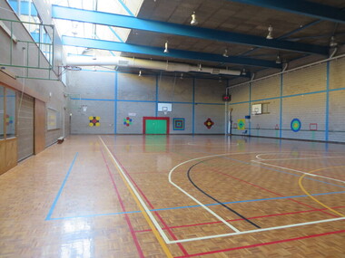 Photograph - Colour, Clare Gervasoni, Federation University Gymnasium, Mount Helen, 2015, 10/2015