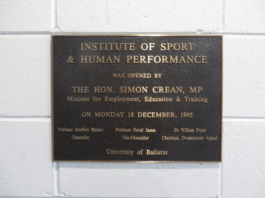 plaque