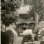 Garden in front of a building