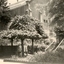 Plants and a staircase in front of a building