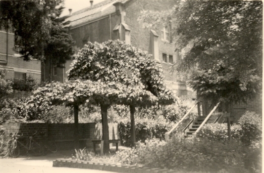 Plants and a staircase in front of a building