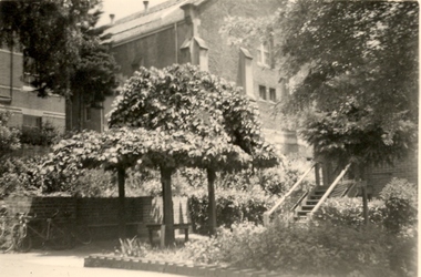 Plants and a staircase in front of a building
