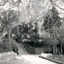 Gardens at the Ballarat School of Mines