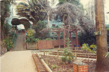 Photograph - Colour, Ballarat School of Mines Botanical Gardens, c1979