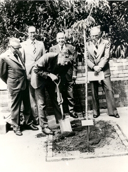4 men watch another plant a tree