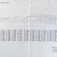 Names of all the people