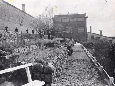 school building and garden