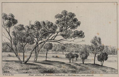 Image - black and white, John Helder Wedge, Near Where St James's Cathedral (Melbourne) Now Stands, c1835