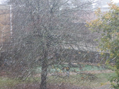 Photographs - Colour, Clare Gervasoni, Snow at Federation University Mt Helen Campus, 2016, 24/06/2016