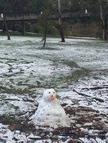 Photograph - Colour, Clare Gervasoni, Snow around the Federation University Mt Helen Campus Childcare Centre, 2016, 13/07/2016