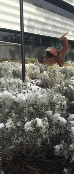 Snow at Mt Helen, with the Blizzard sculpture featuring