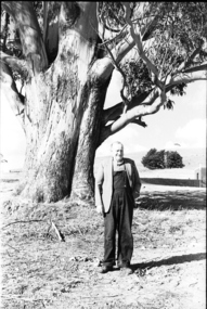 Photograph - black and white, Mr Downing by the Federation University Tree of Knowledge, 1970