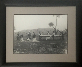 Photograph - Photograph - Black and White, Blade Shearing on McCookes' Property at Mount Emu, 1910