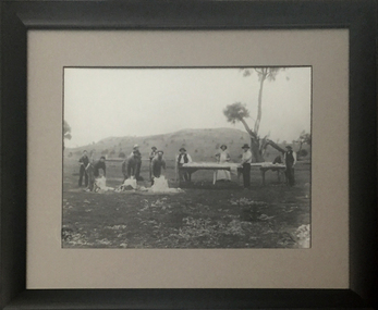 Photograph - Photograph - Black and White, Blade Shearing on McCookes' Property at Mount Emu, 1910, 1910