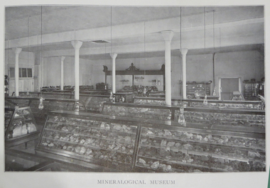 Museum