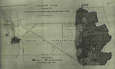 Plan, Locality Plan Showing the relative position of the Poseidon, Nick o'Time and Ironbark Rushes