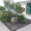 A building in the Ballarat Technology Park