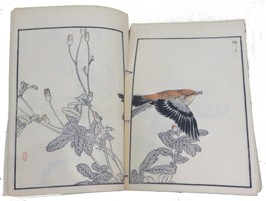 Book, Mei Ling Xing Ye Feng et al, Album of Hundred Birds (Teaching / Learning Kit), c1880, c1880