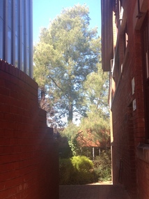 Photograph - Photograph - Colour, Clare Gervasoni, Ballarat Technical Art School (Gribble) Building, 2015, 03/03/2015