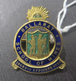 School badge