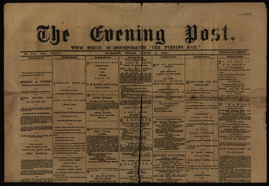 Newspaper, The Evening Post, 03/08/1883