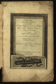Book, Lorenzo Roccheggiani, Raccolta de Cento Tavole, 1804, 1804