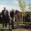 two men plant a tree