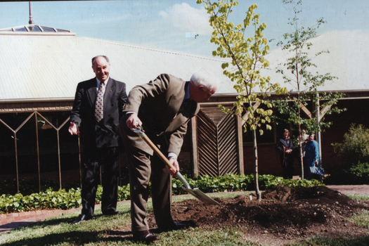 two men plant a tree