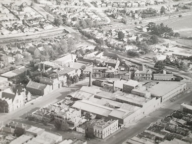 Photograph - Photograph - Black and White, Aerial Photograph of the Ballarat School of Mines and Ballarat East, Pre 1967