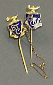 Stick Pin, Swann, Ballarat Teachers' College Stick Pins, c1948/50
