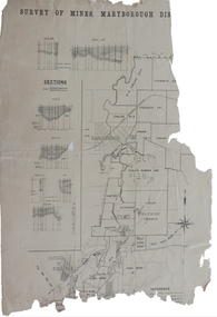 Survey of Mines, Maryborough District
