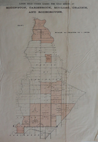 Plan, Lands held under leases for gold mining at Biddington, Carisbrook, Moolort, Craigie and Rodborough, not dated