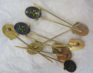 Object, Stokes & Sons Pty Ltd, Ballarat Junior Technical School Old Boys Association Lapel Pin, mid 1900s