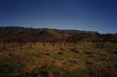 Photograph - Colour, Coober Pedy Wild Dog Fence