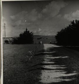 Photograph - Black and White, Chatham-Holmes Collection: Lester's driveway, Ascot