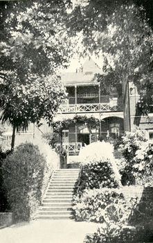 Stairs in a garden