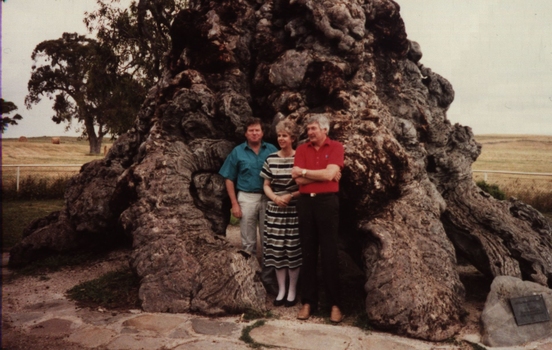 Three people at a large tree