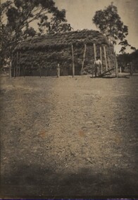 Photographs - black and white, Chatham-Holmes Collection: Teams and waggons, possibly " Launchley Park" Derrinallum, Victoria